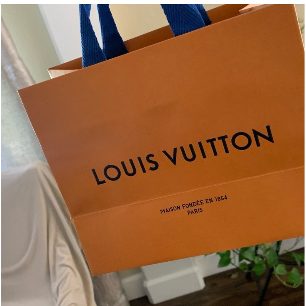 Louis Vuitton Shopping / Gift Bag
- NEW!